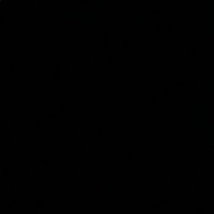 Meet your Posher, Dillon